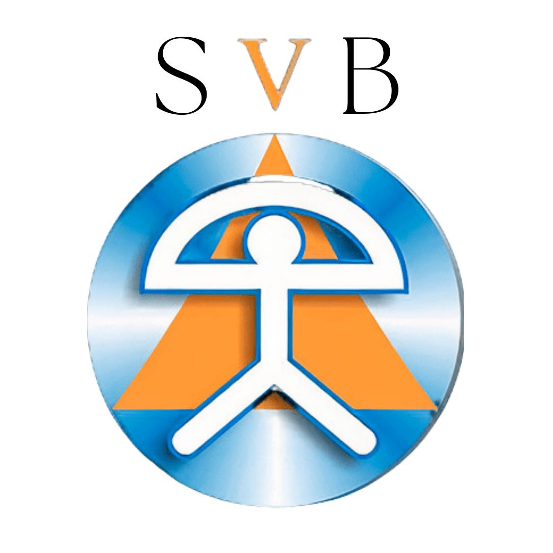 logo SVB Menuiserie Fermetures Isolation